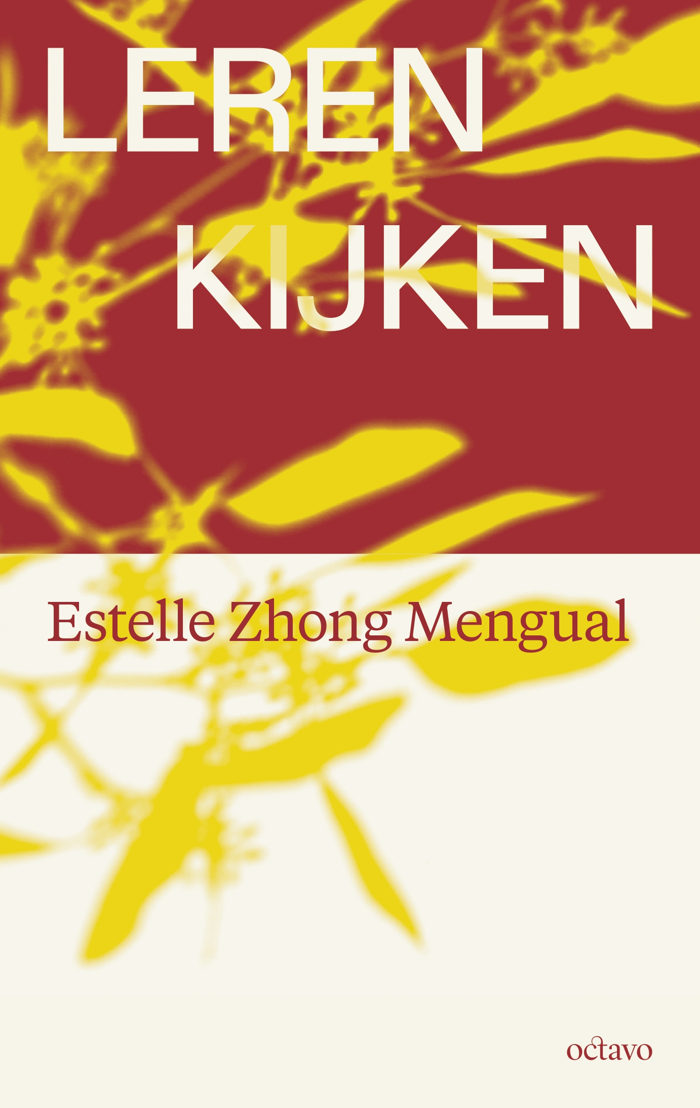 Nieuw boek: Leren kijken (Estelle Zhong Mengual)